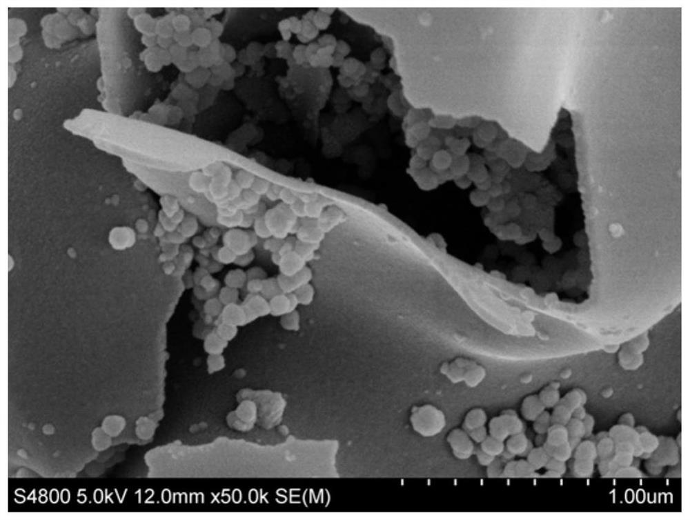 一种碳量子点衍生碳纳米片复合二氧化硅负极材料及其制备方法