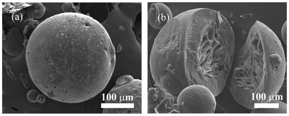 一种同质核壳结构的多孔壳聚糖微球及其制备方法和应用