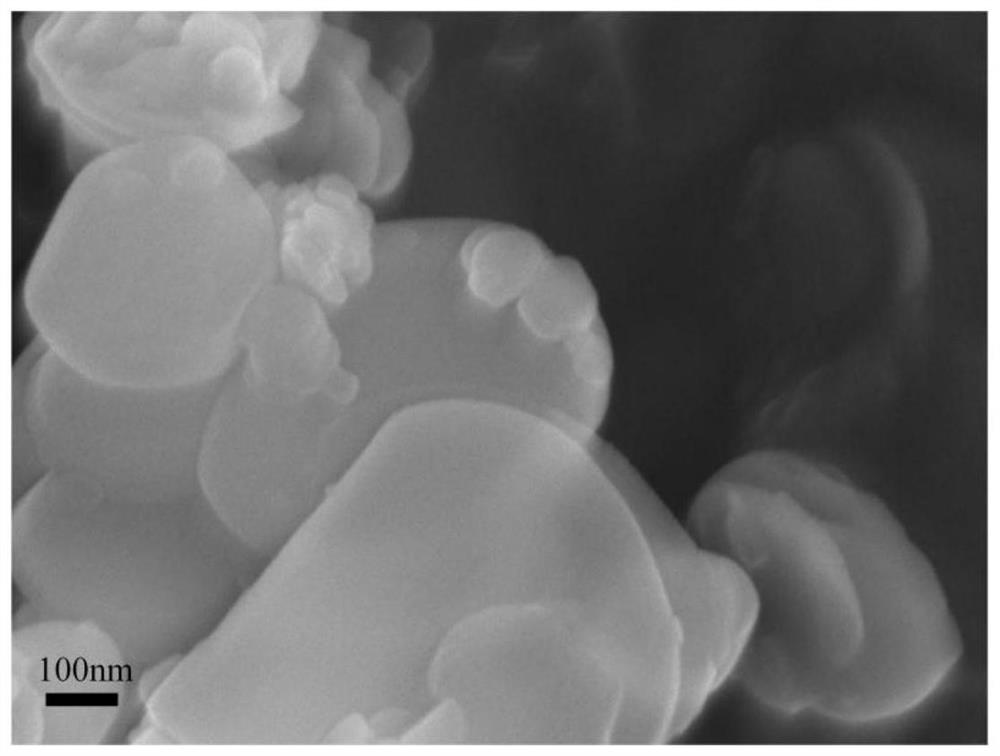 一种六方氮化硼纳米片水凝胶复合材料及制备方法和应用