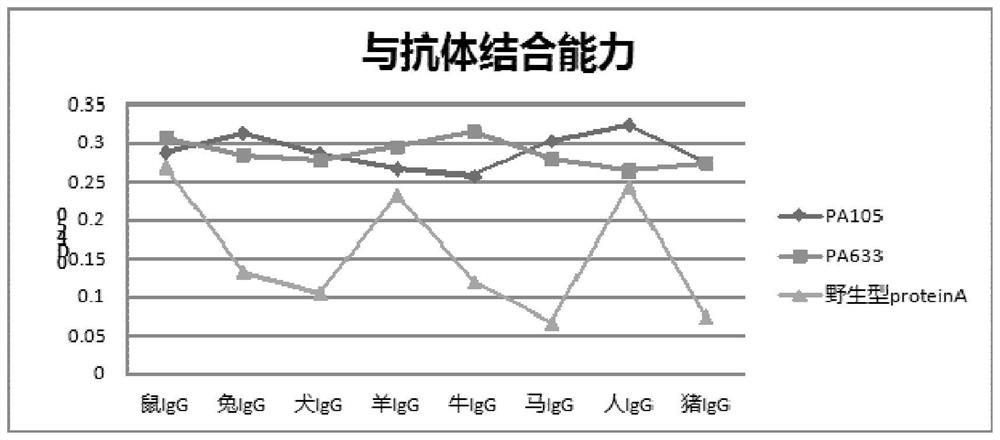 一种蛋白A突变体、融合蛋白和应用