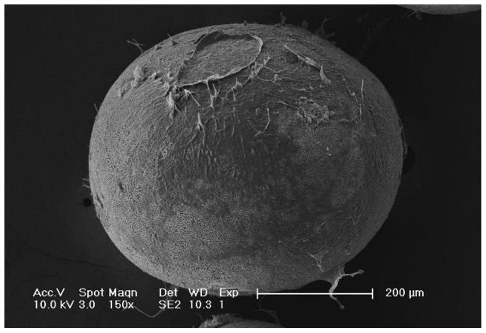 一种表面包被矿化细胞外基质的PEEK多孔微球、其制备方法及应用
