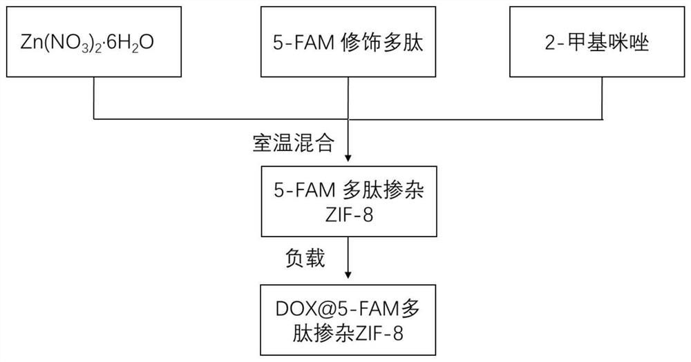 荧光多肽掺杂金属有机框架纳米材料及制备方法和应用