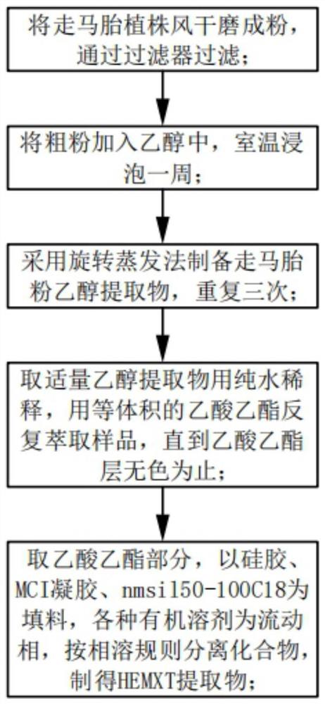 一种可降糖抗癌的走马胎单体HEMXT提取和分析方法