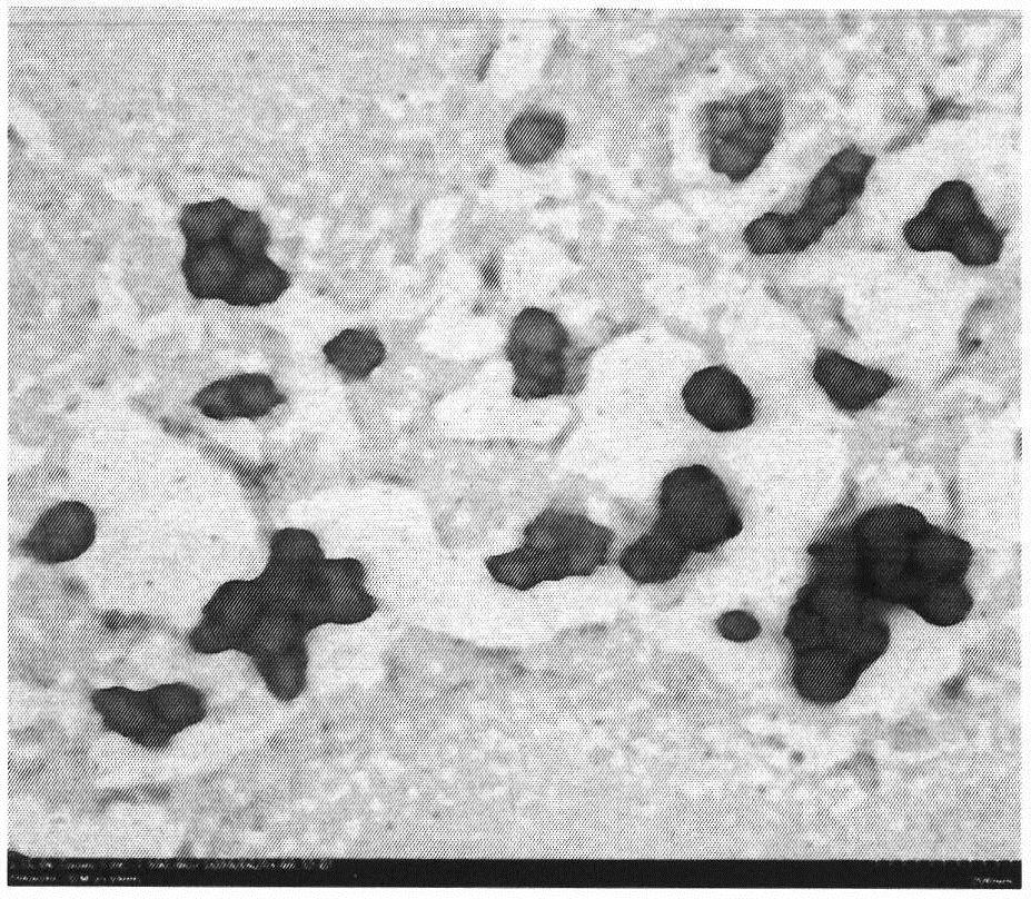 一种包埋活性大米硒肽的溶菌酶/黄原胶纳米颗粒及其制备方法
