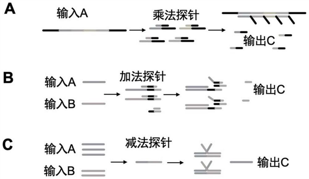 基于分子分类器的样本分类系统、试剂盒、方法及应用