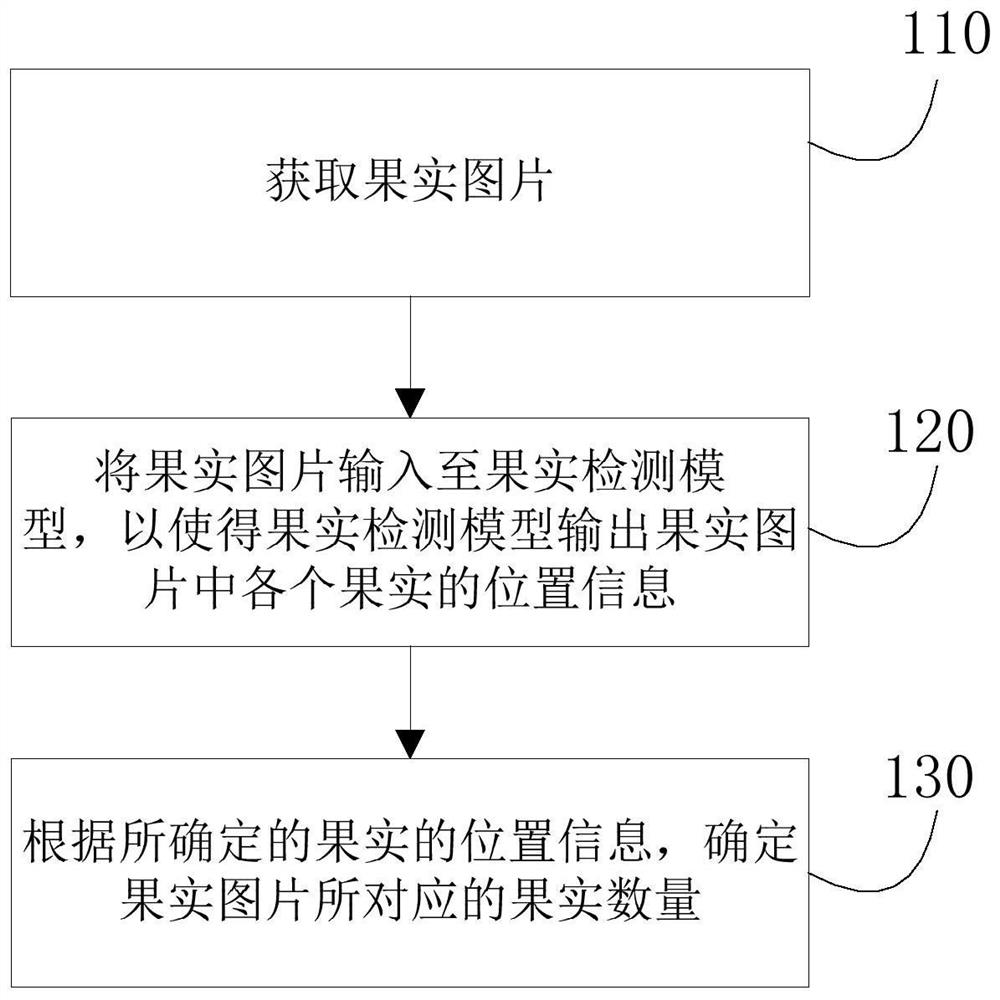 一种果实计数方法、装置及电子设备