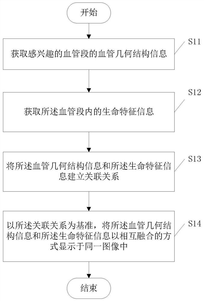 血管图像的处理方法、装置及成像设备