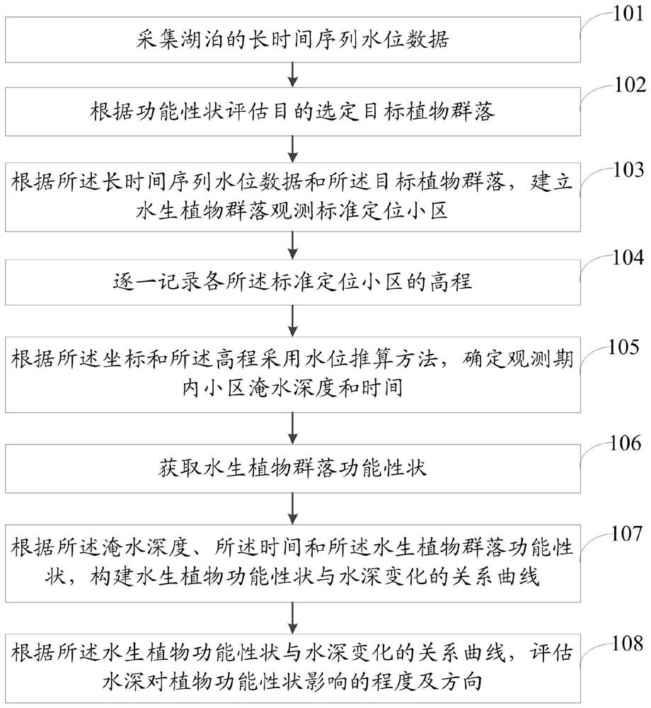 评估湖泊水位变化对水生植物功能性状影响的方法及系统