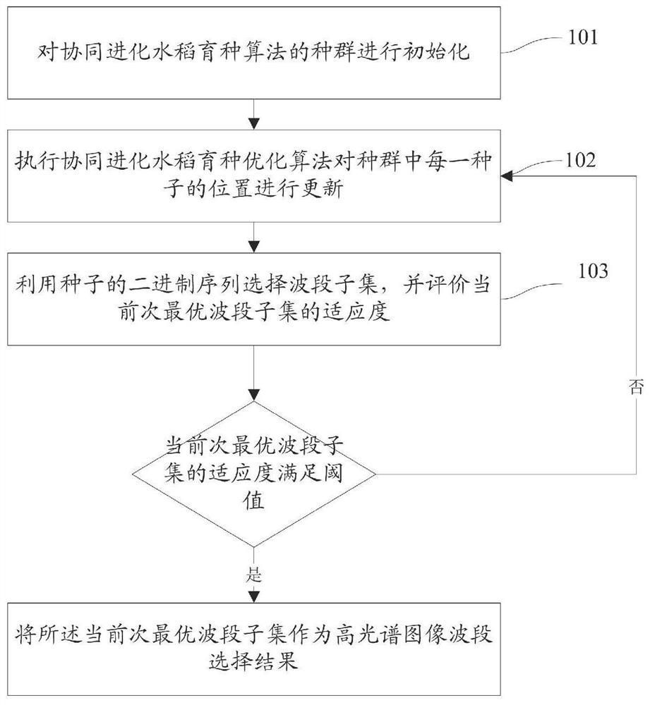 一种基于协同进化的高光谱图像波段选择方法及系统