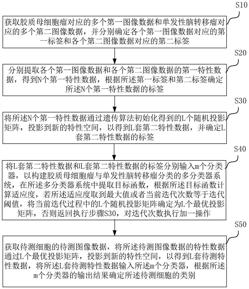 瘤细胞图像的分类和装置