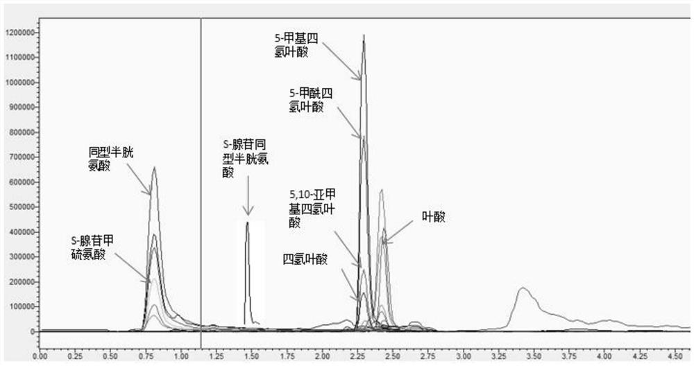 一种测试人体叶酸代谢衍生物的液相串联质谱检测试剂盒及检测方法