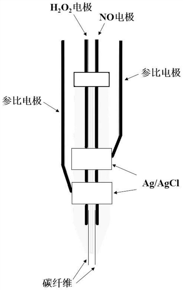 可在体同步检测过氧化氢与一氧化氮的双微电极的制作方法