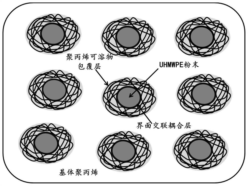 一种抗虎皮纹的免喷涂底护板用聚丙烯复合材料及其制备方法