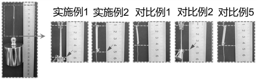 生物可降解的聚酯弹性体及其制备方法和应用