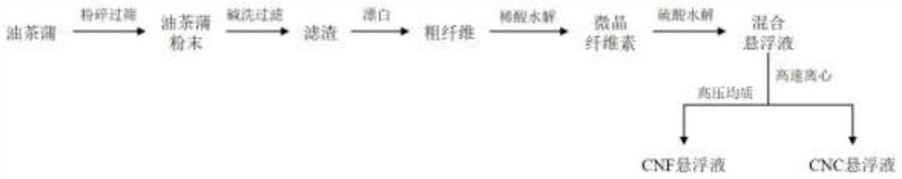 一种从油茶蒲中同时制备纤维素纳米晶体和纤维素纳米纤维的方法