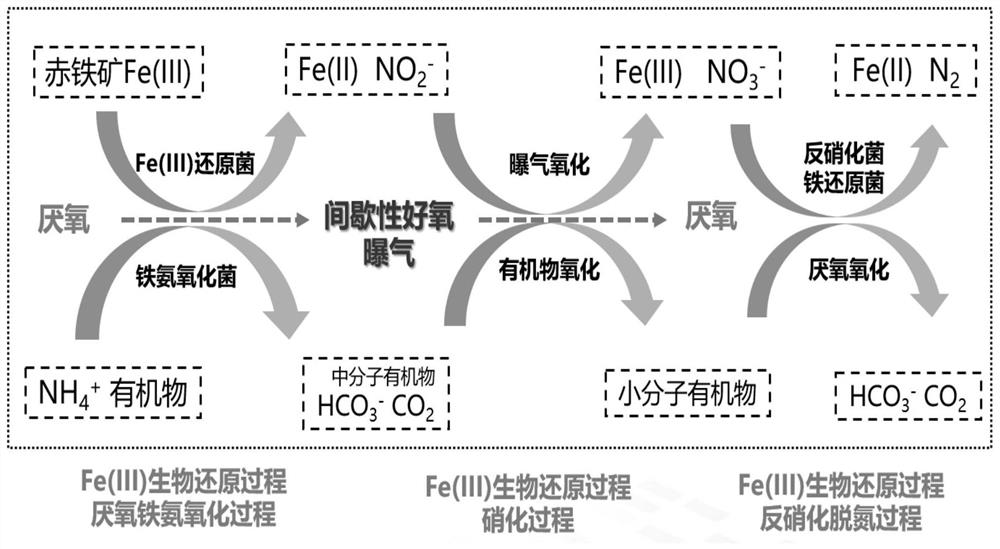 一种间歇性曝气式地下水氨氮、有机污染生物的修复方法