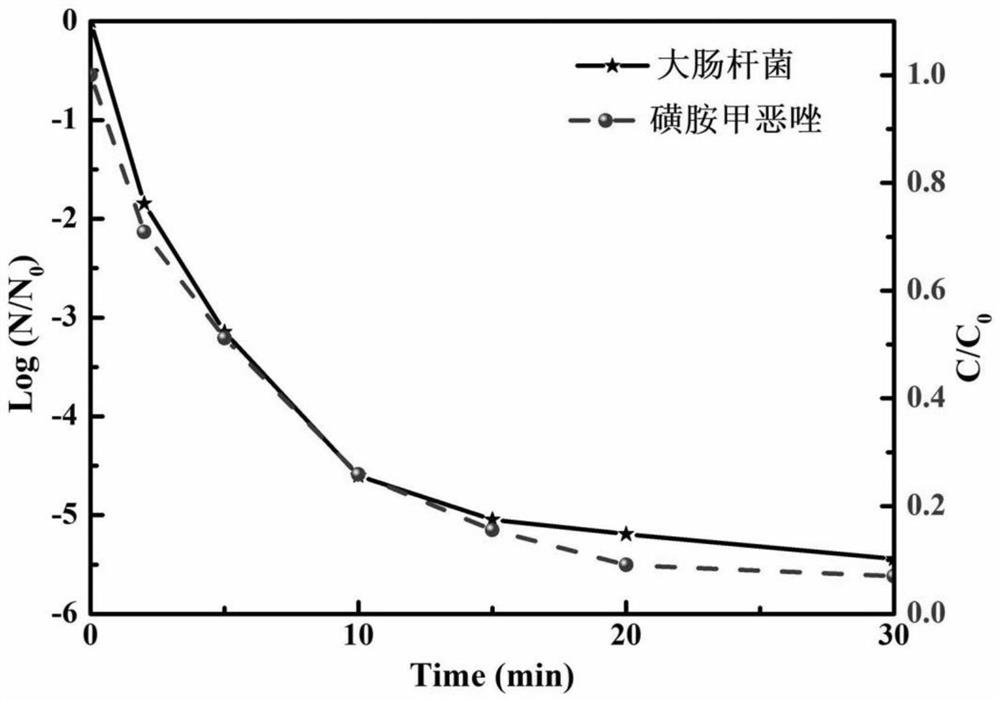 一种三维电化学反应器原位产生单线态氧对尿液灭活同步去除PPCPs的方法