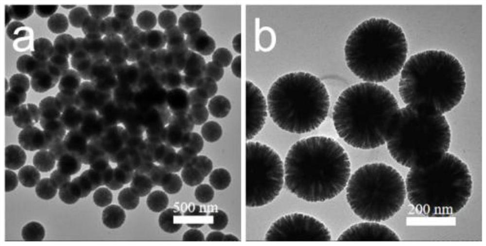 分形结构二氧化硅球FSN的规模化合成方法及系统