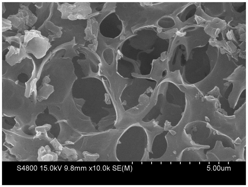一种氮掺杂海藻酸钠基多孔碳材料及其制备方法和应用