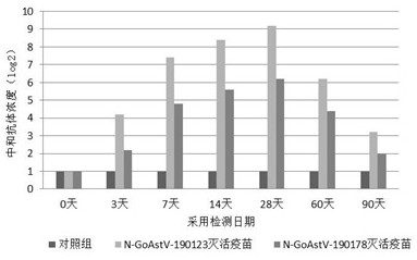 一种鹅星状病毒的灭活疫苗及其制备方法