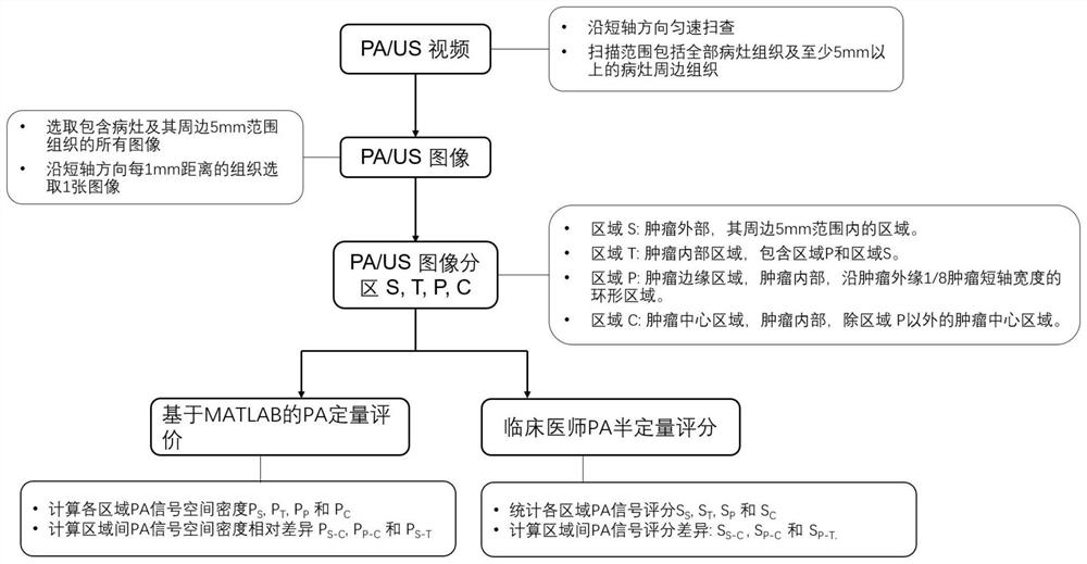 光声成像在乳腺肿瘤评分系统中的应用及评分系统