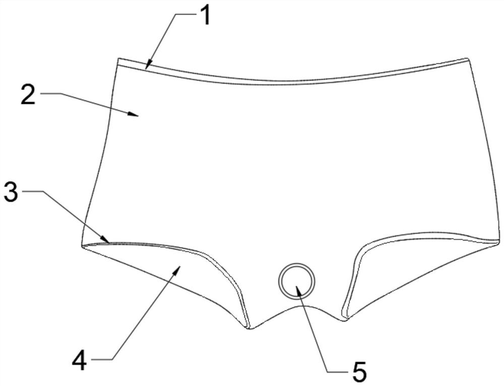 一种安保防菌内裤