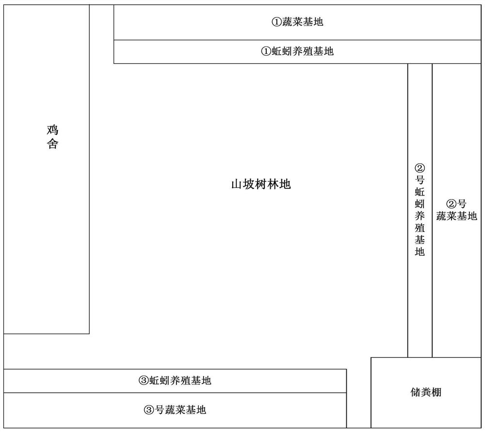 一种土鸡的生态养殖方法