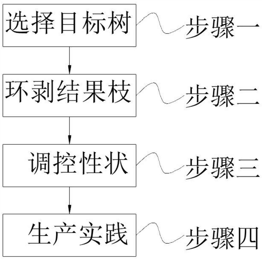 一种油茶环剥利用的新方法