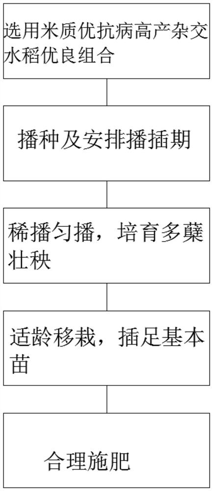 一种富硒大米的种植方法