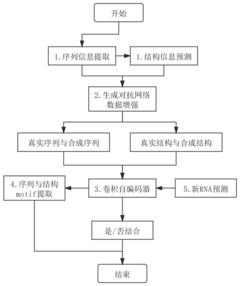 一种基于深度学习的RBP结合位点预测算法