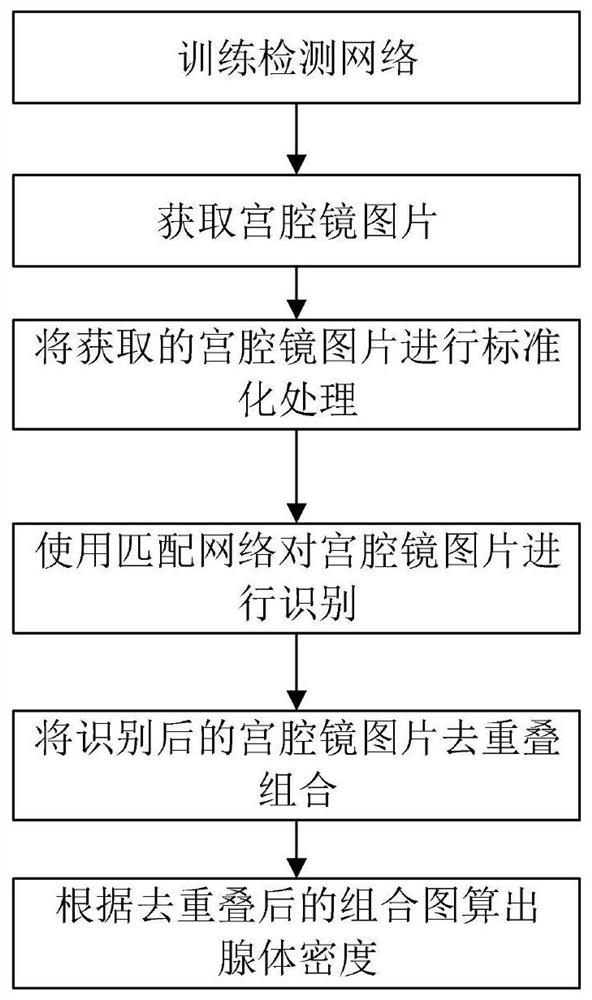 子宫内膜腺体密度预估方法