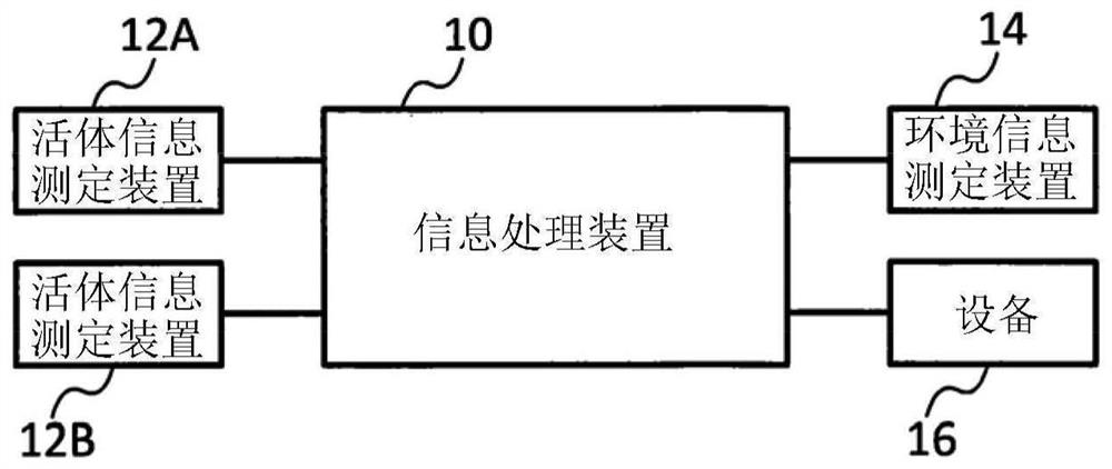 信息处理装置及计算机可读介质