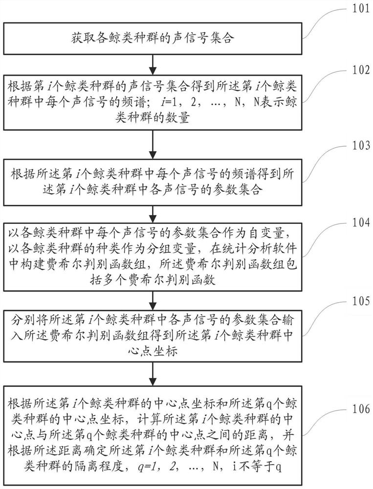 一种不同鲸类种群间隔离程度的确定方法及系统