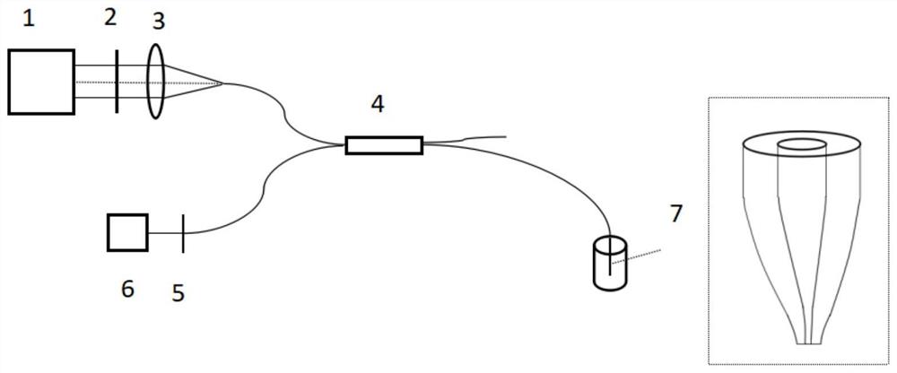 基于双光子荧光的啤酒中的AFB1检测装置及检测方法