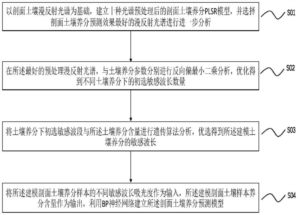 一种基于漫反射光谱的剖面土壤养分检测方法及装置