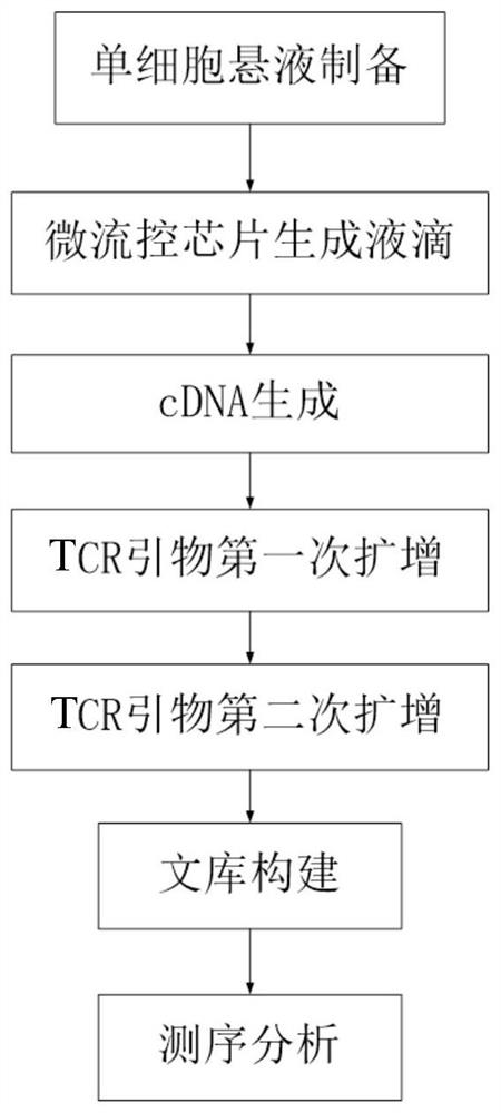 用于构建人单细胞TCR测序文库的试剂盒及其应用
