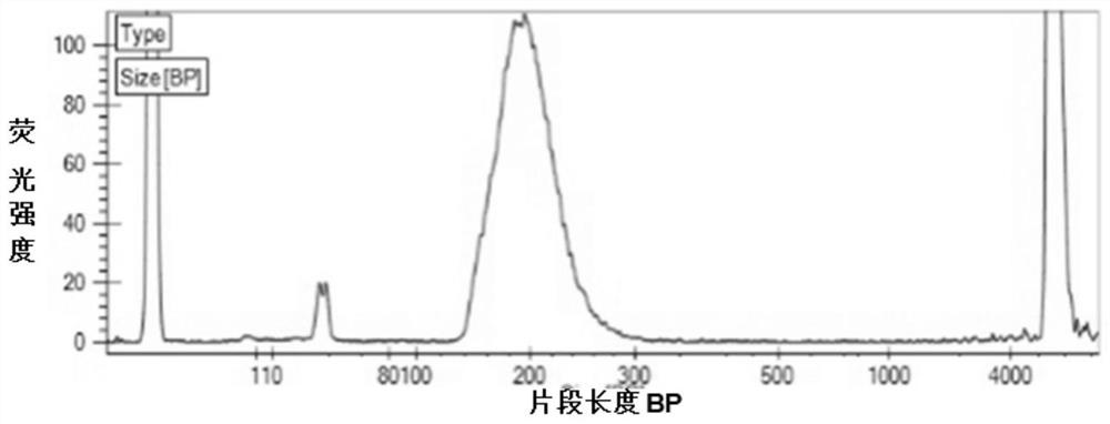 细胞裂解液、试剂盒及应用