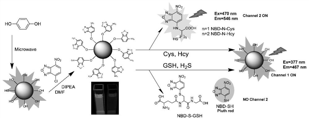 双激发双发射荧光探针CQDs-O-NBD及其应用