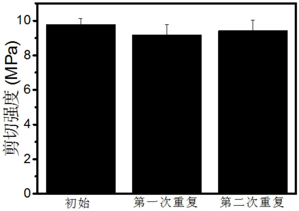 一种聚酯酰胺作为可重复使用热熔胶的应用