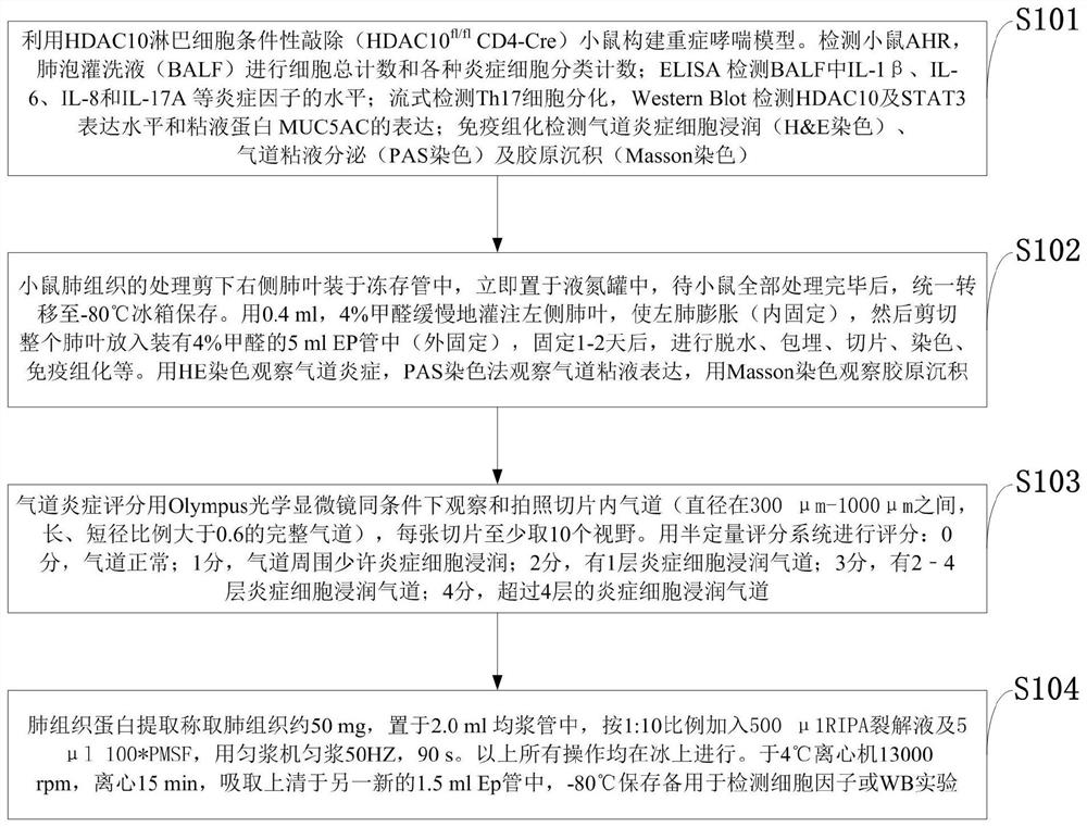 一种缓解重症哮喘的药物、应用及动物模型构建方法