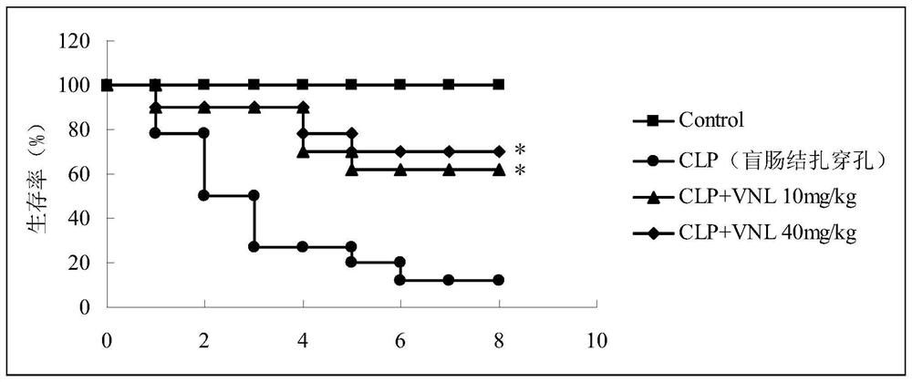 一种Pellino1天然小分子抑制剂及其应用