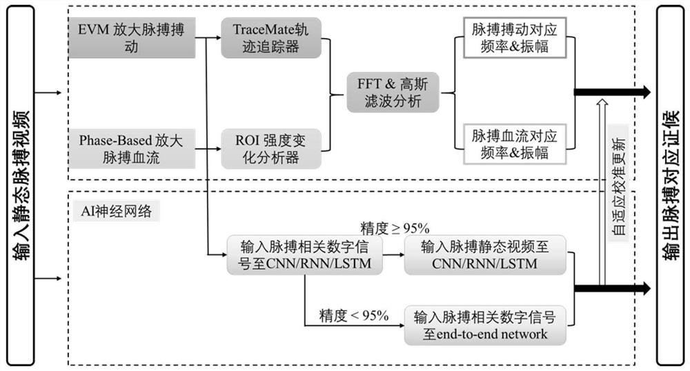 基于欧拉-相位变换视频放大技术的脉诊解析仪