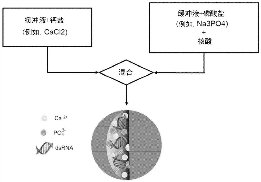 用于有害生物防控的耐碱的磷酸钙/核酸混杂运载体及生产颗粒的方法