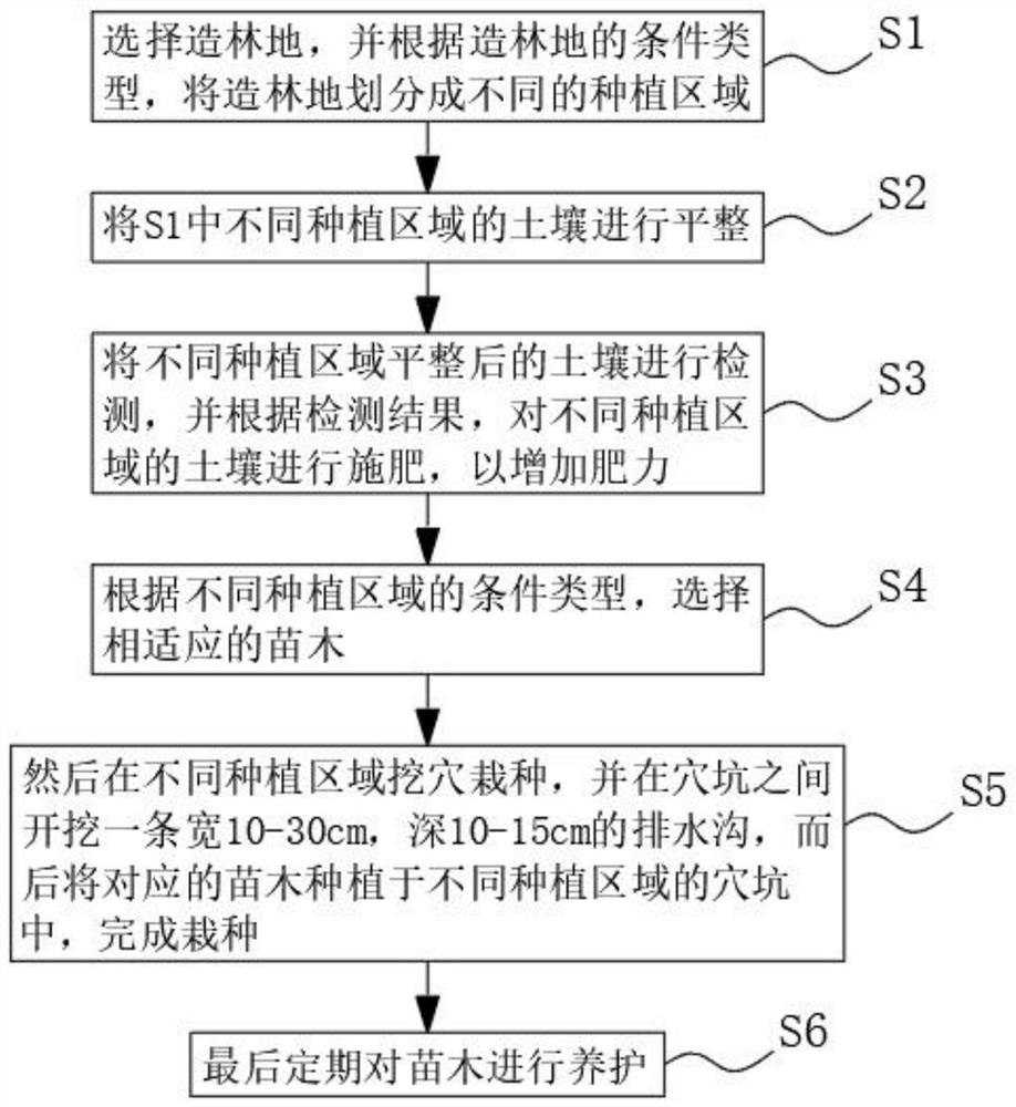 一种沿黄陡坡困难立地高质量综合造林方法