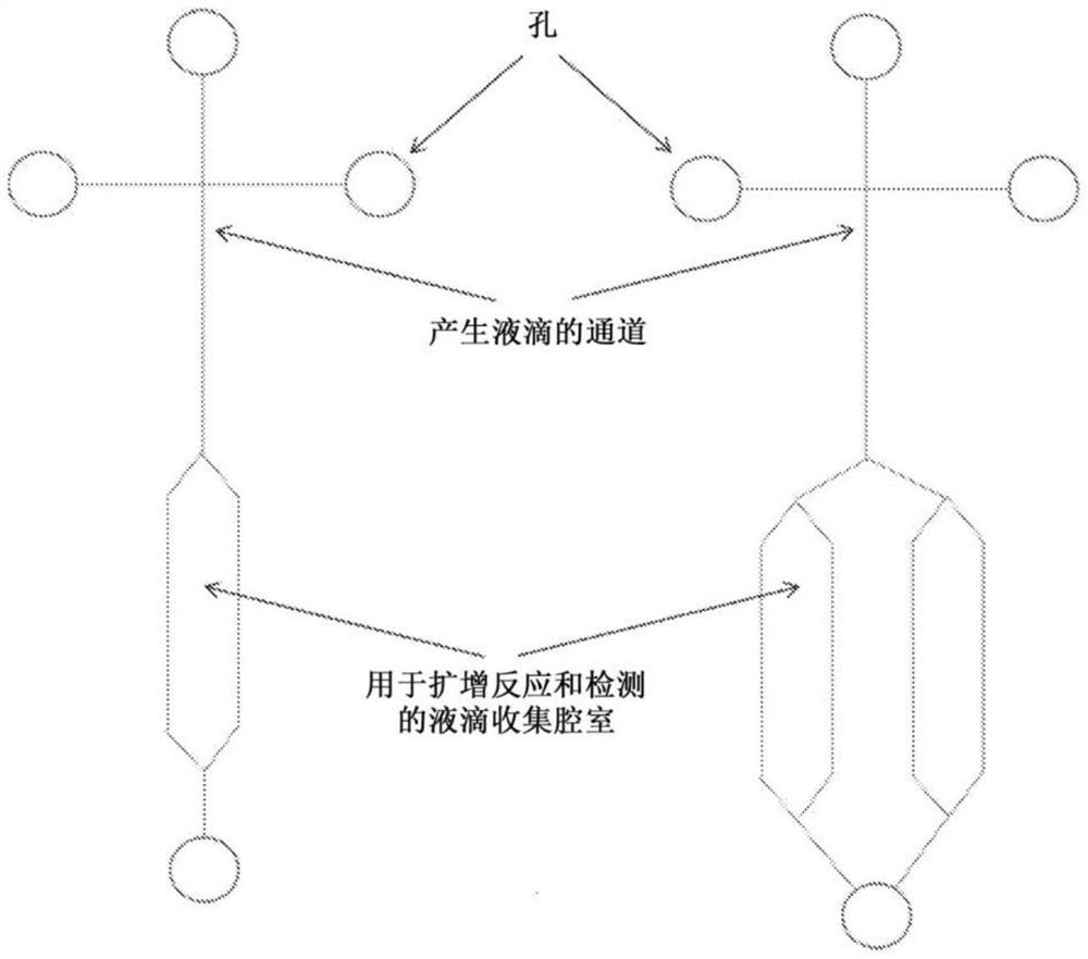 用于产生液滴、核酸扩增和检测的集成微流控系统