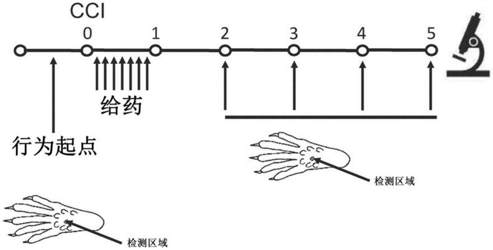 血浆和血浆组分用于改善疼痛、伤口愈合和术后恢复的用途