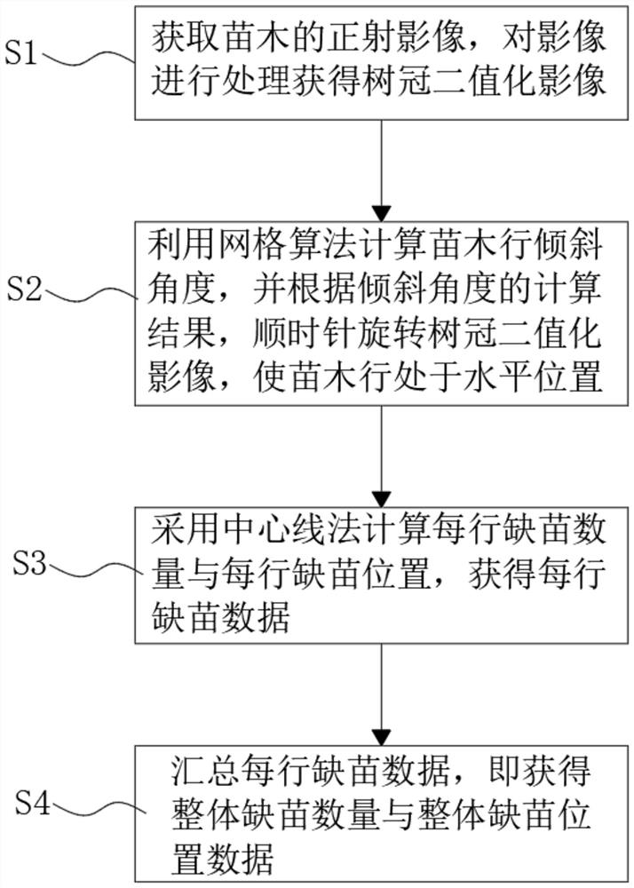 一种人工苗木林缺苗信息获取方法