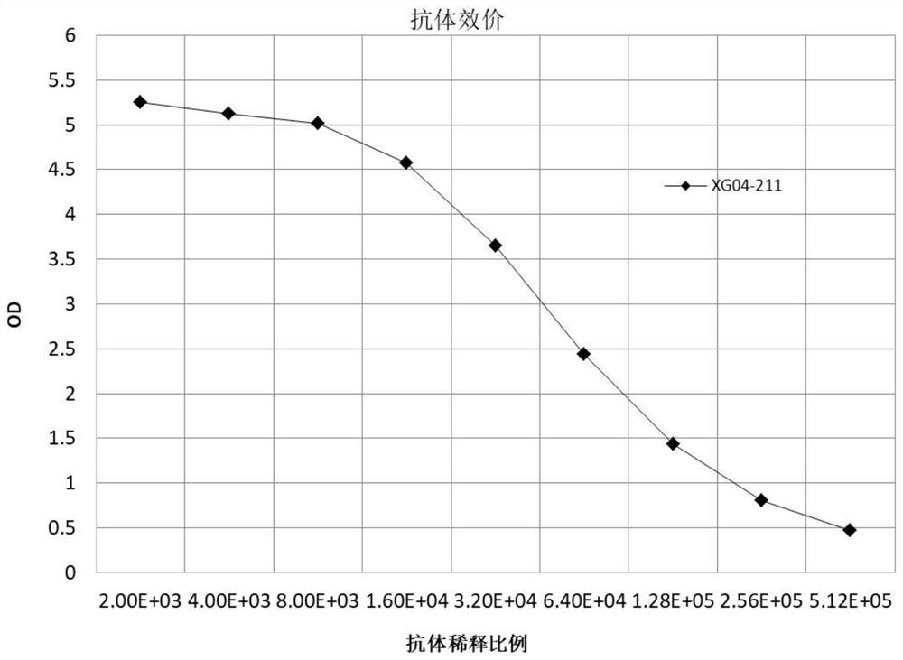 一种新型冠状病毒2019-nCoV体外诊断标准品的制备方法