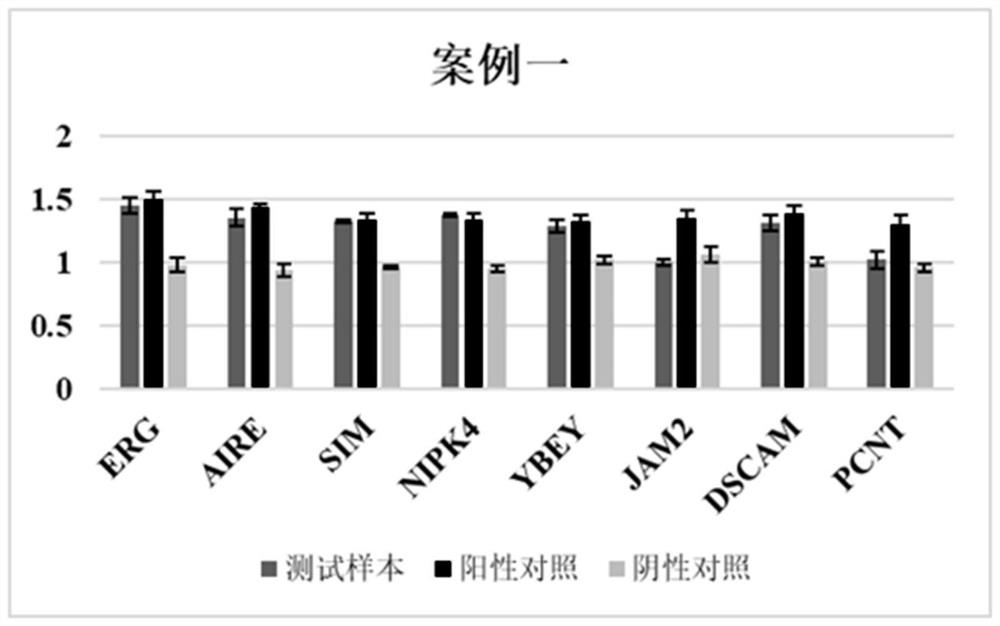 一种用于产前胎儿21-三体综合征的检测方法