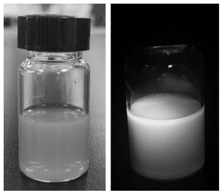 一种碳量子点-水溶性聚氨酯溶液的制备方法